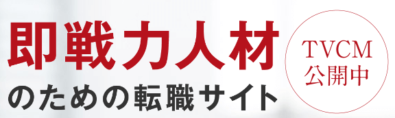 ビズリーチの特徴