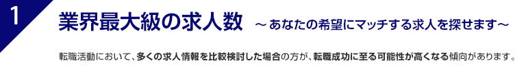 大手転職エージェントならではの求人数